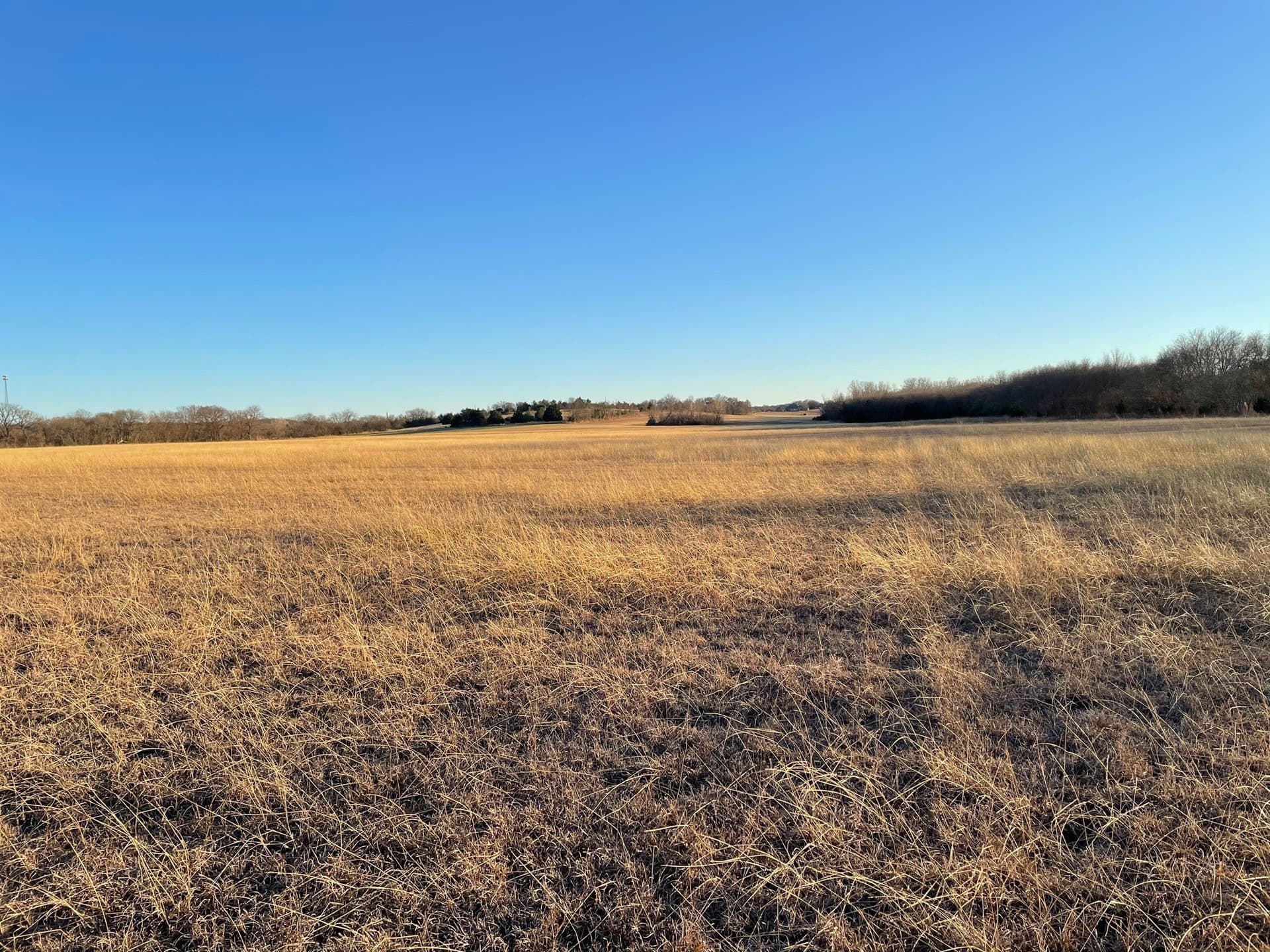61.96 acres in Grayson County - photo 7
