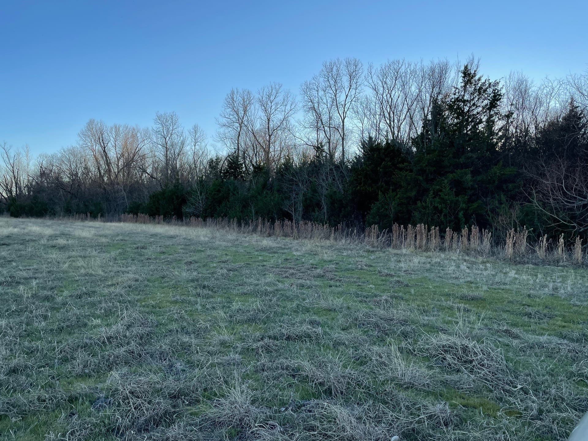 61.96 acres in Grayson County - photo 14