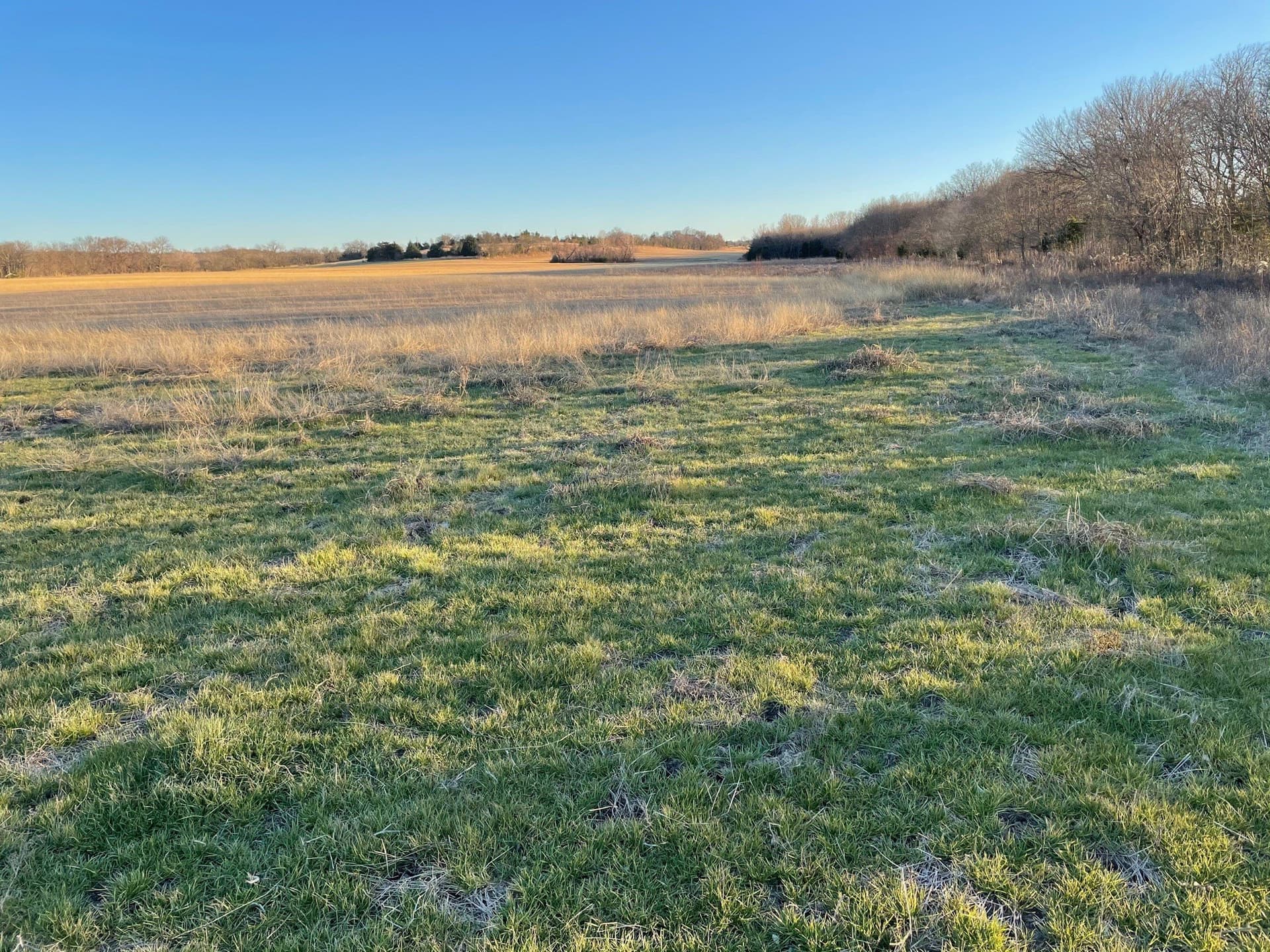 61.96 acres in Grayson County - photo 8