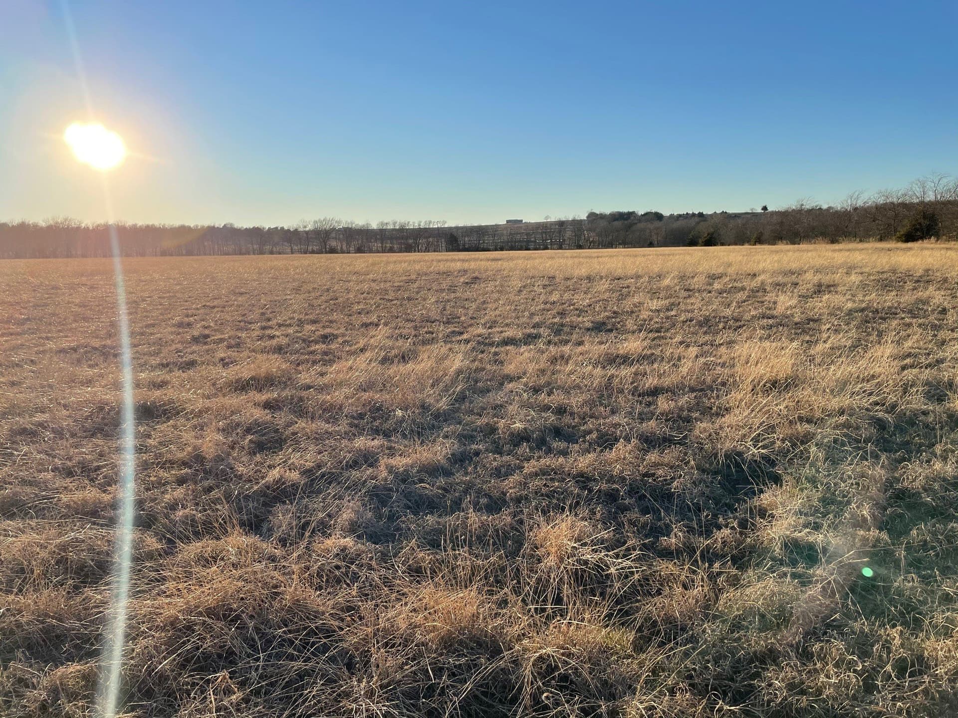 61.96 acres in Grayson County - photo 4