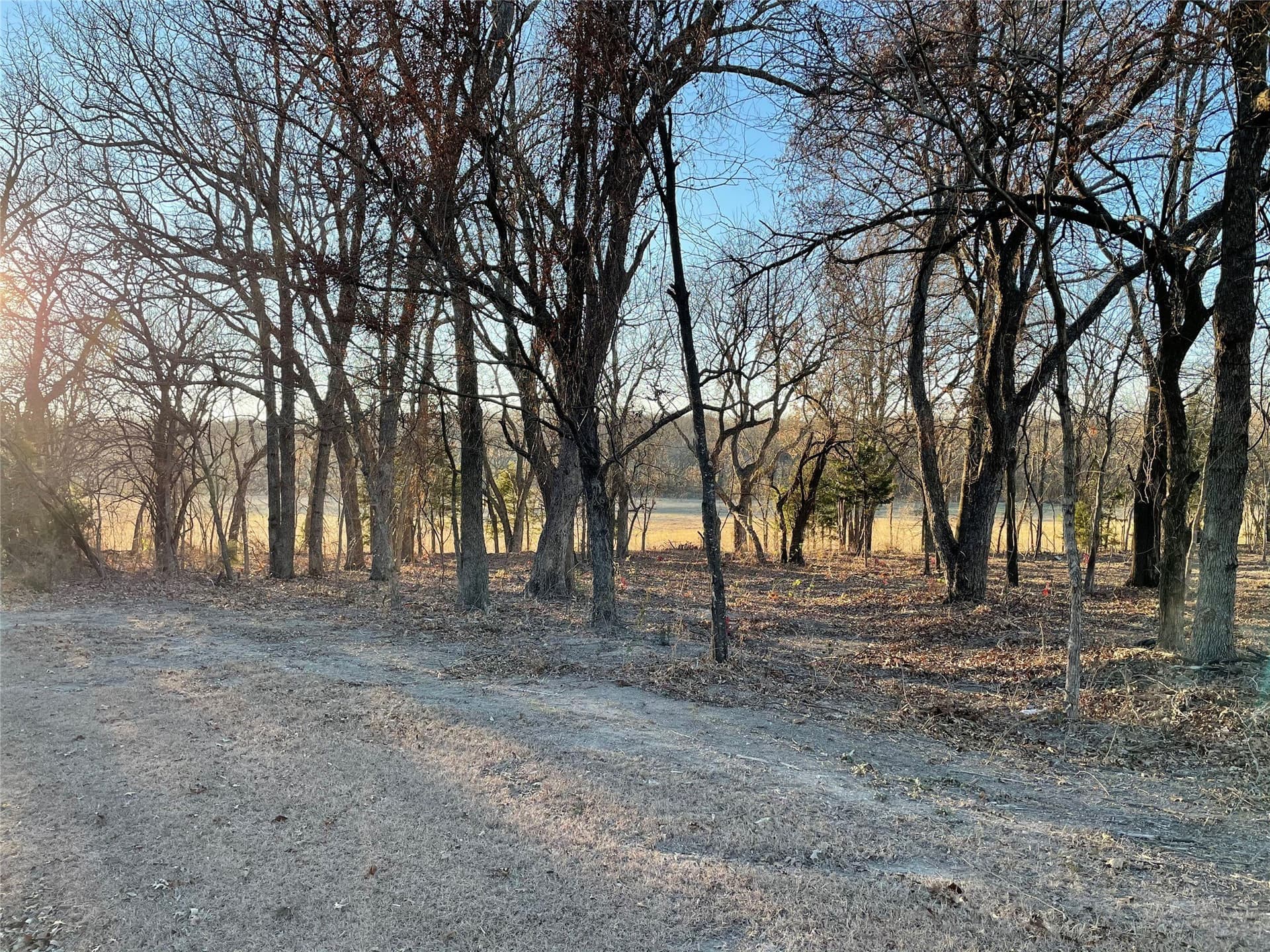 61.96 acres in Grayson County - photo 10