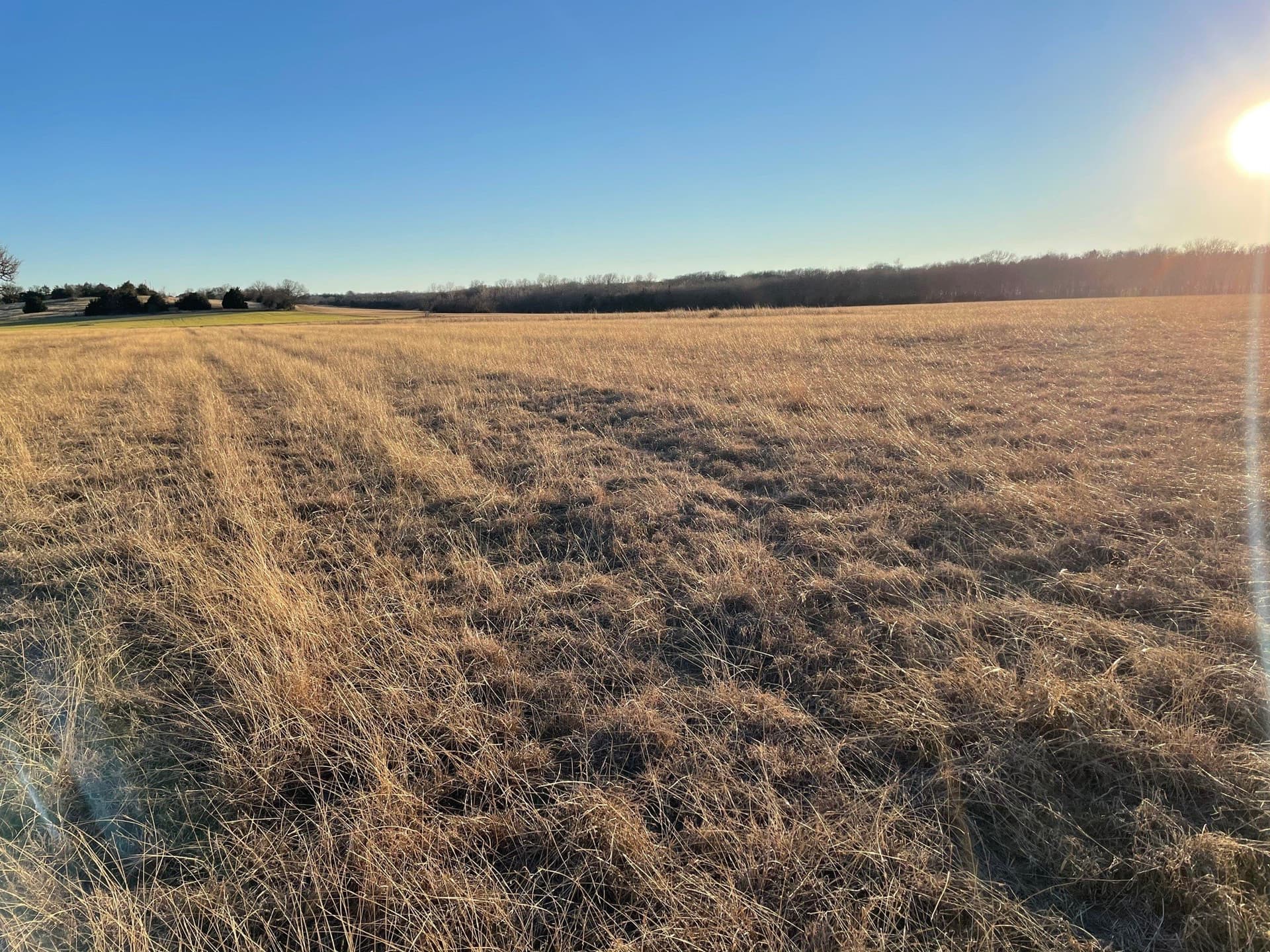 61.96 acres in Grayson County - photo 11