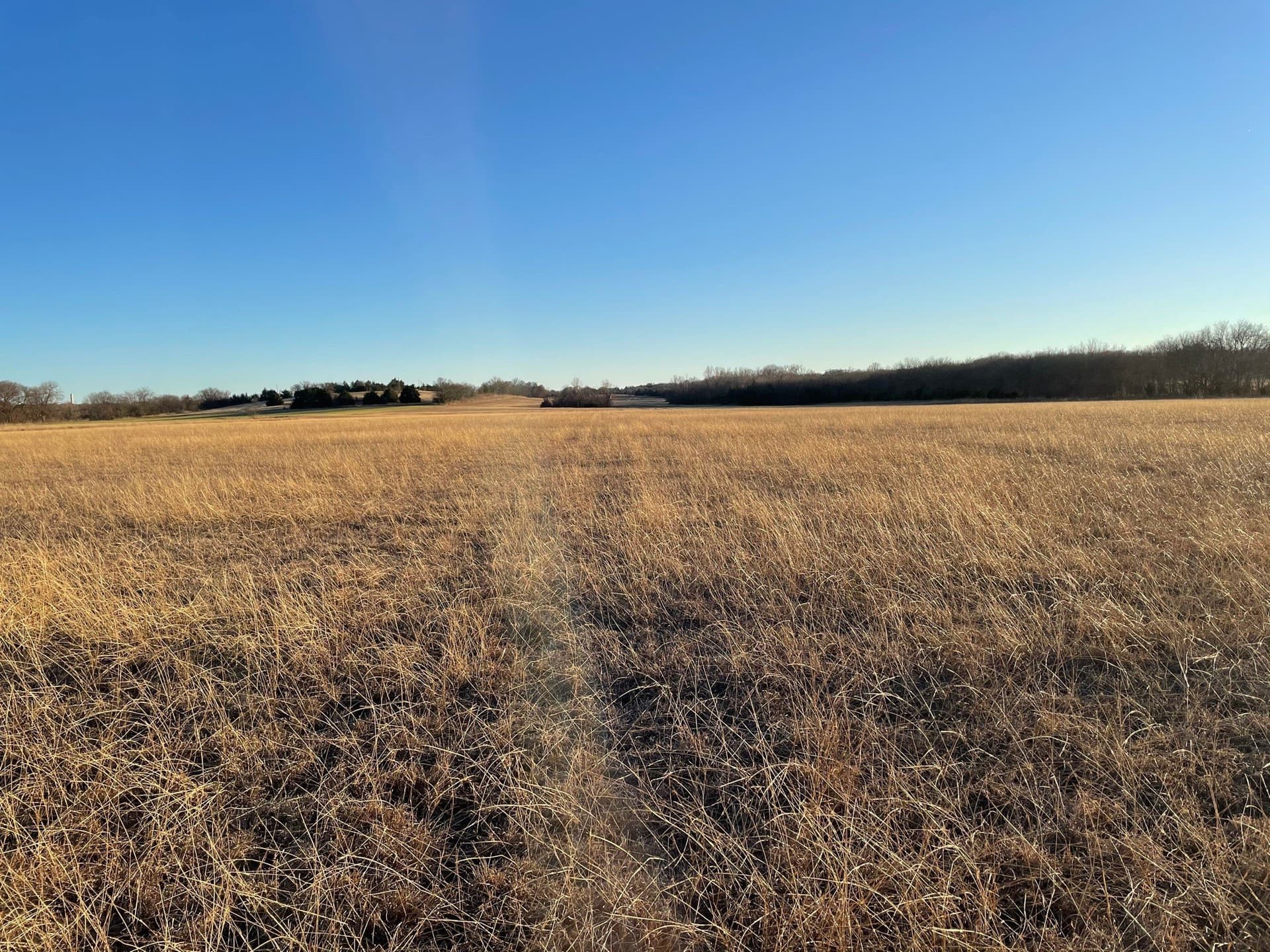 61.96 acres in Grayson County - photo 6