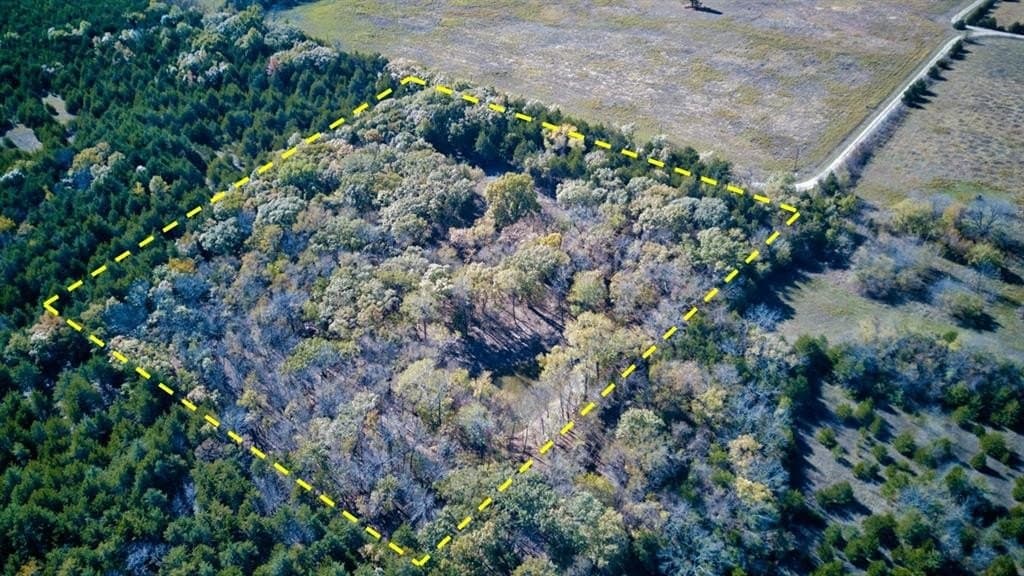 6.74 acres in Fannin County featured view