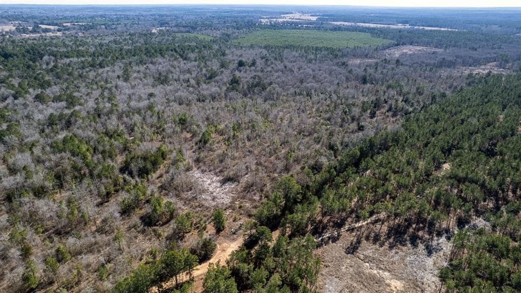 18.8 acres in Cass County gallery image 4