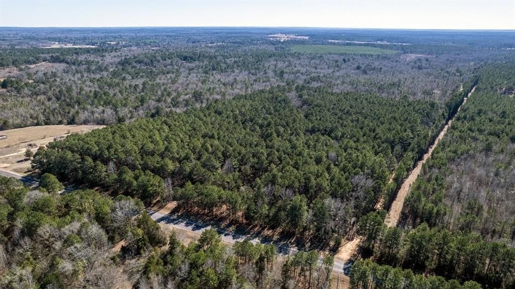 18.8 acres in Cass County gallery image 3