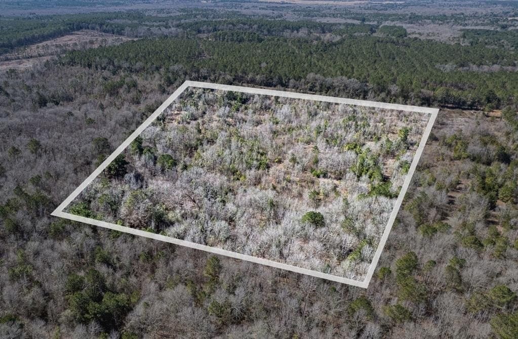 18.8 acres in Cass County gallery image 2