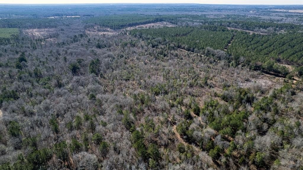 18.8 acres in Cass County featured view