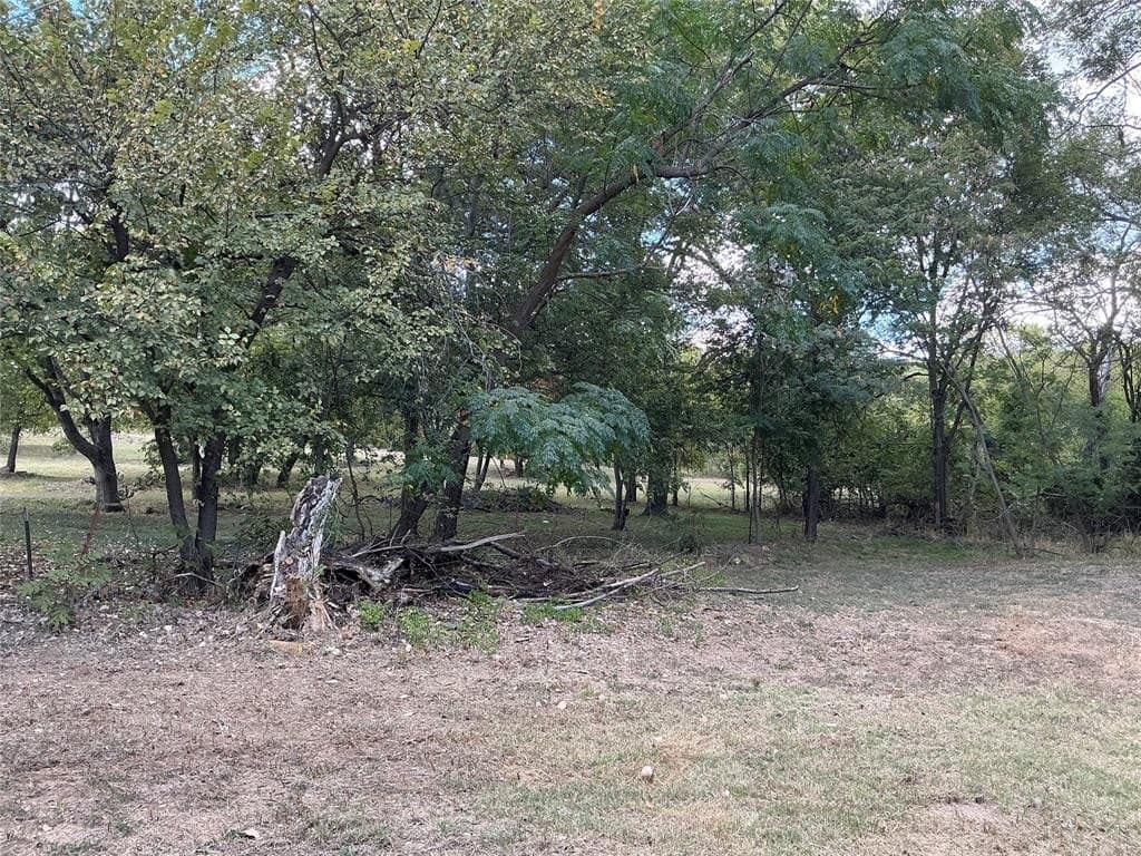0.18 acres in Parker County gallery image 4