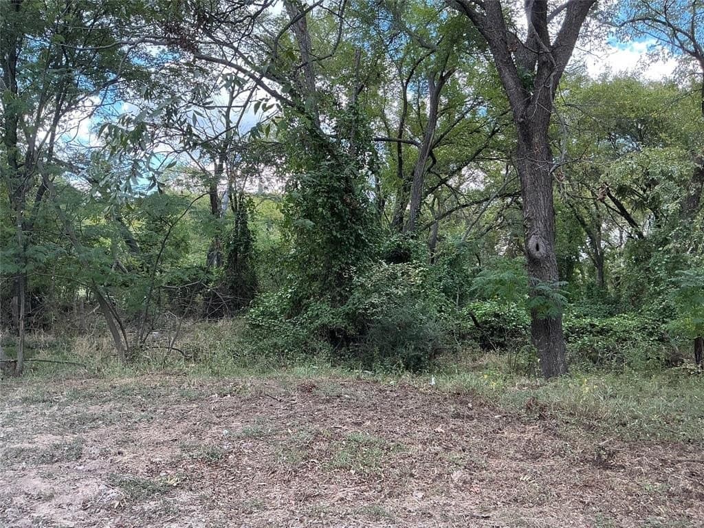 0.18 acres in Parker County featured view