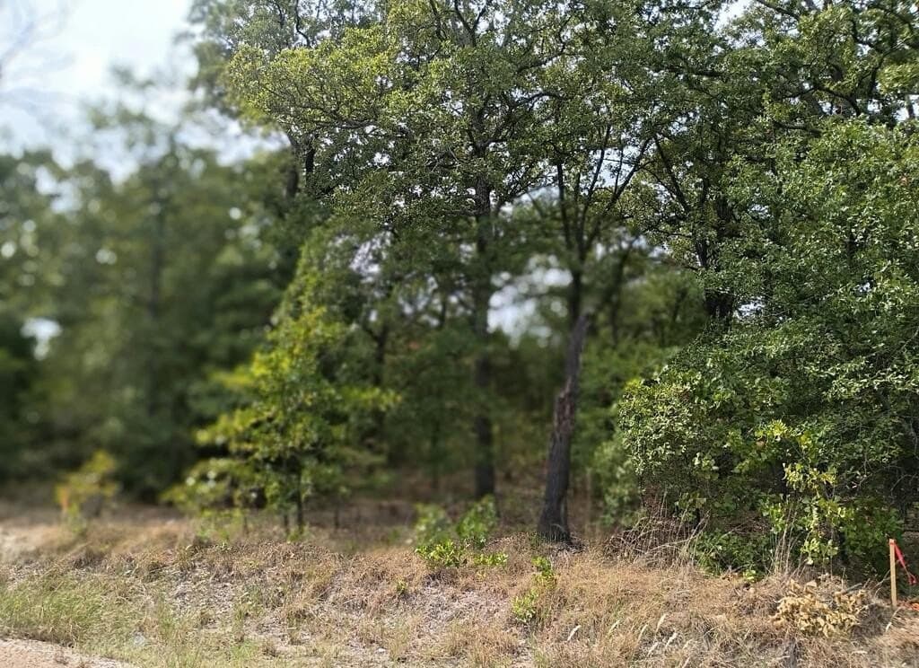 0.07 acres in Henderson County - photo 2