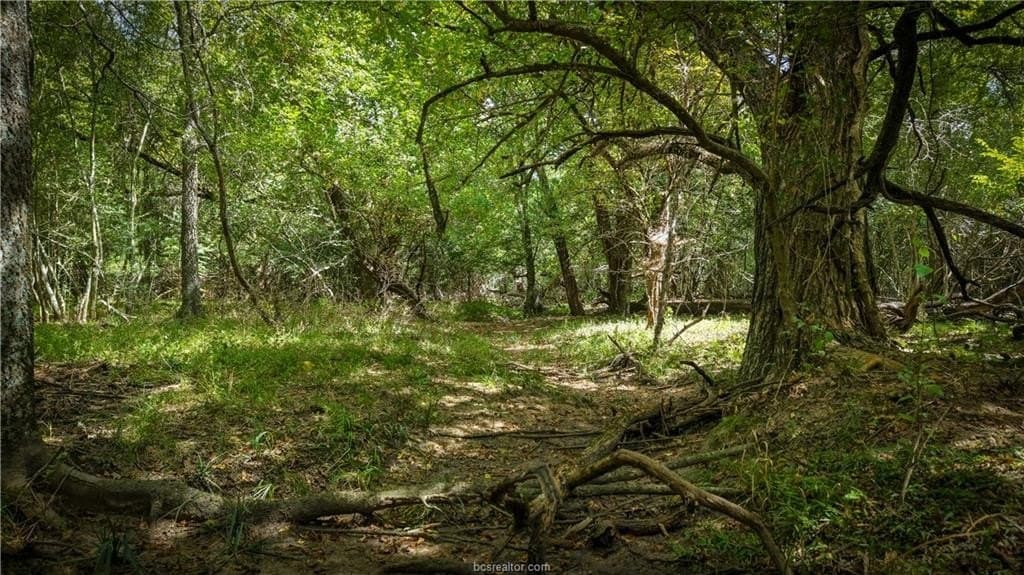 25.94 acres in Brazos County - photo 5