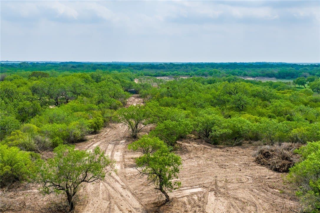 10.74 acres in Jim Wells County gallery image 3