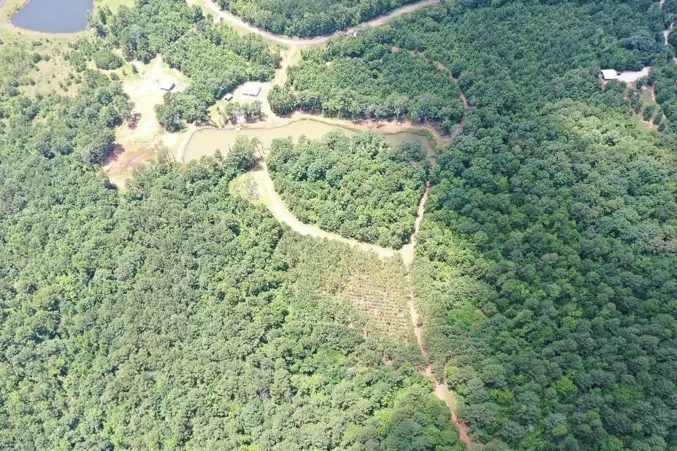 146.76 acres in Morris County - photo 18