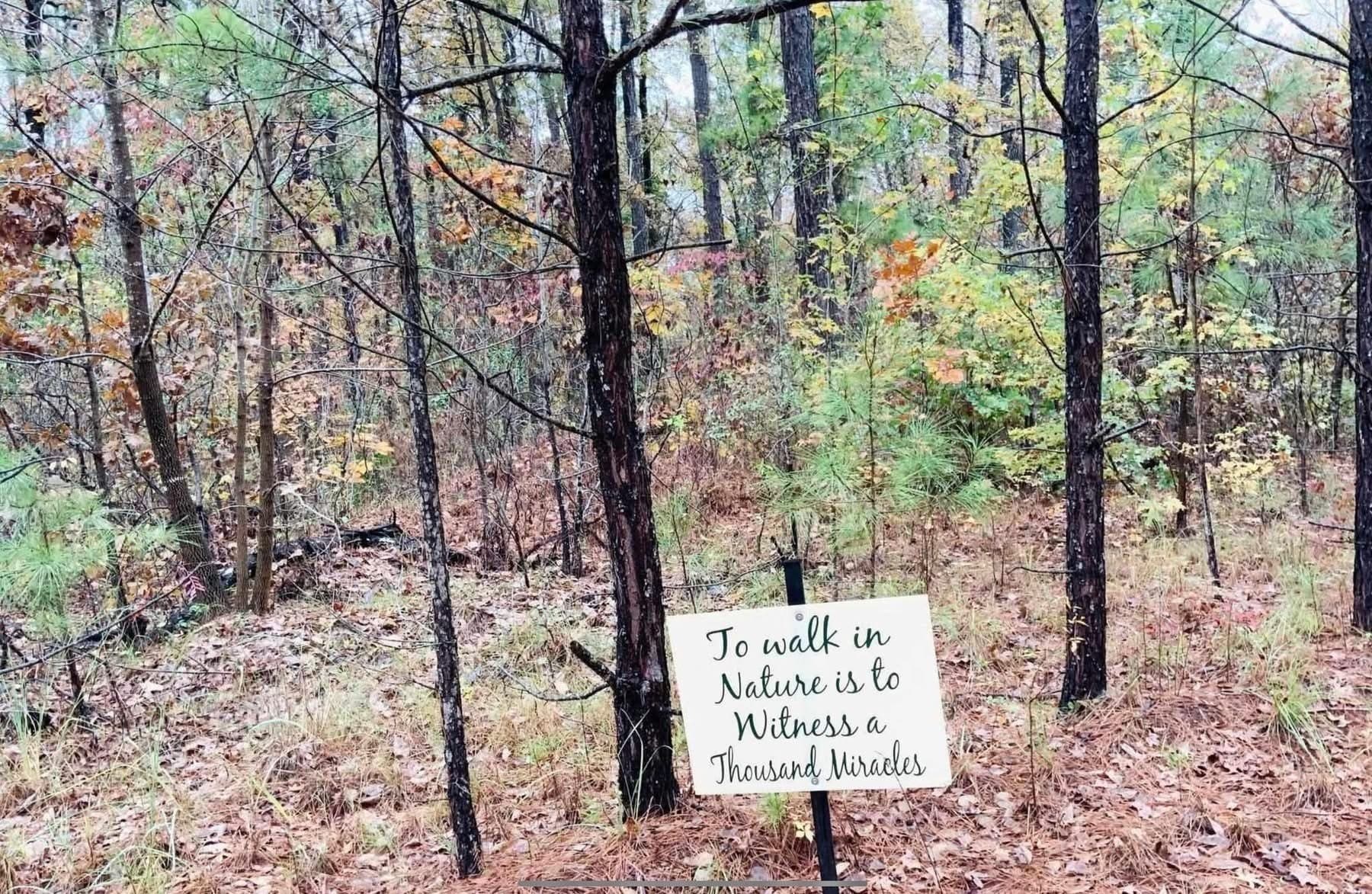146.76 acres in Morris County - photo 12