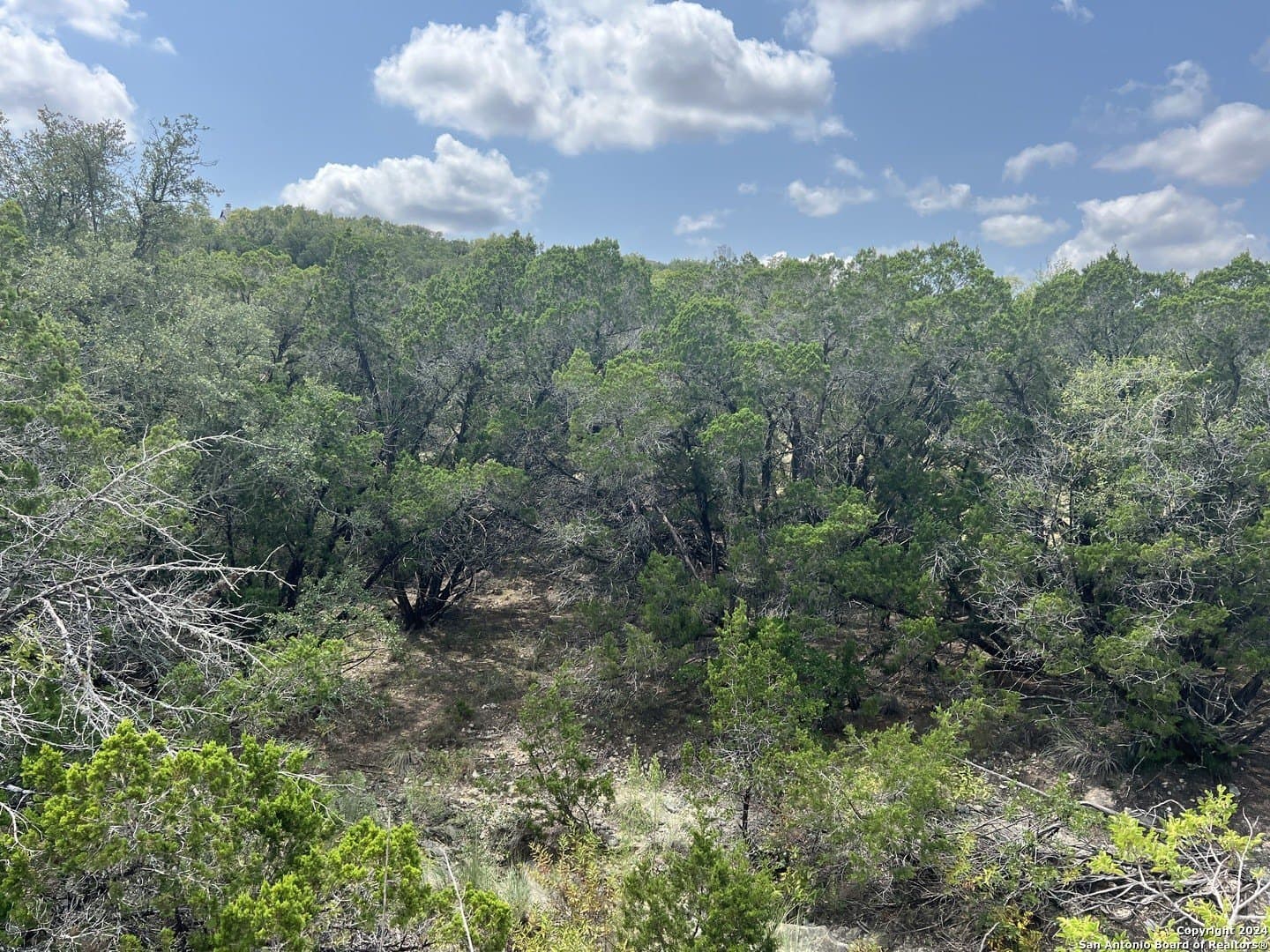 5.36 acres in Medina County - photo 13