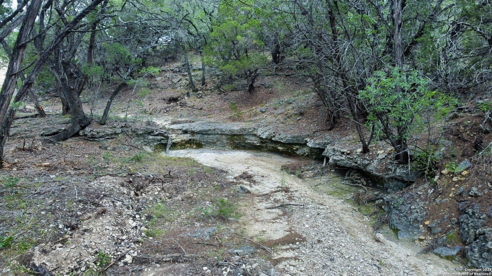 5.36 acres in Medina County gallery image 4