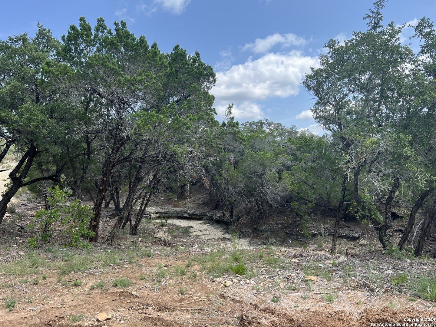 5.36 acres in Medina County gallery image 3