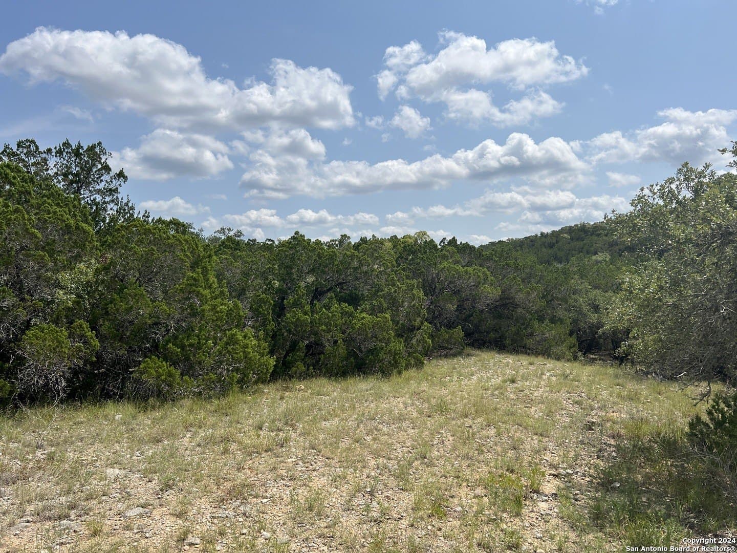 5.36 acres in Medina County - photo 14