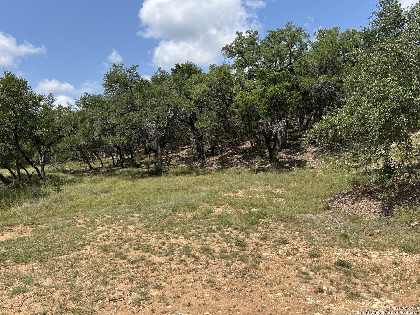 5.36 acres in Medina County - photo 12