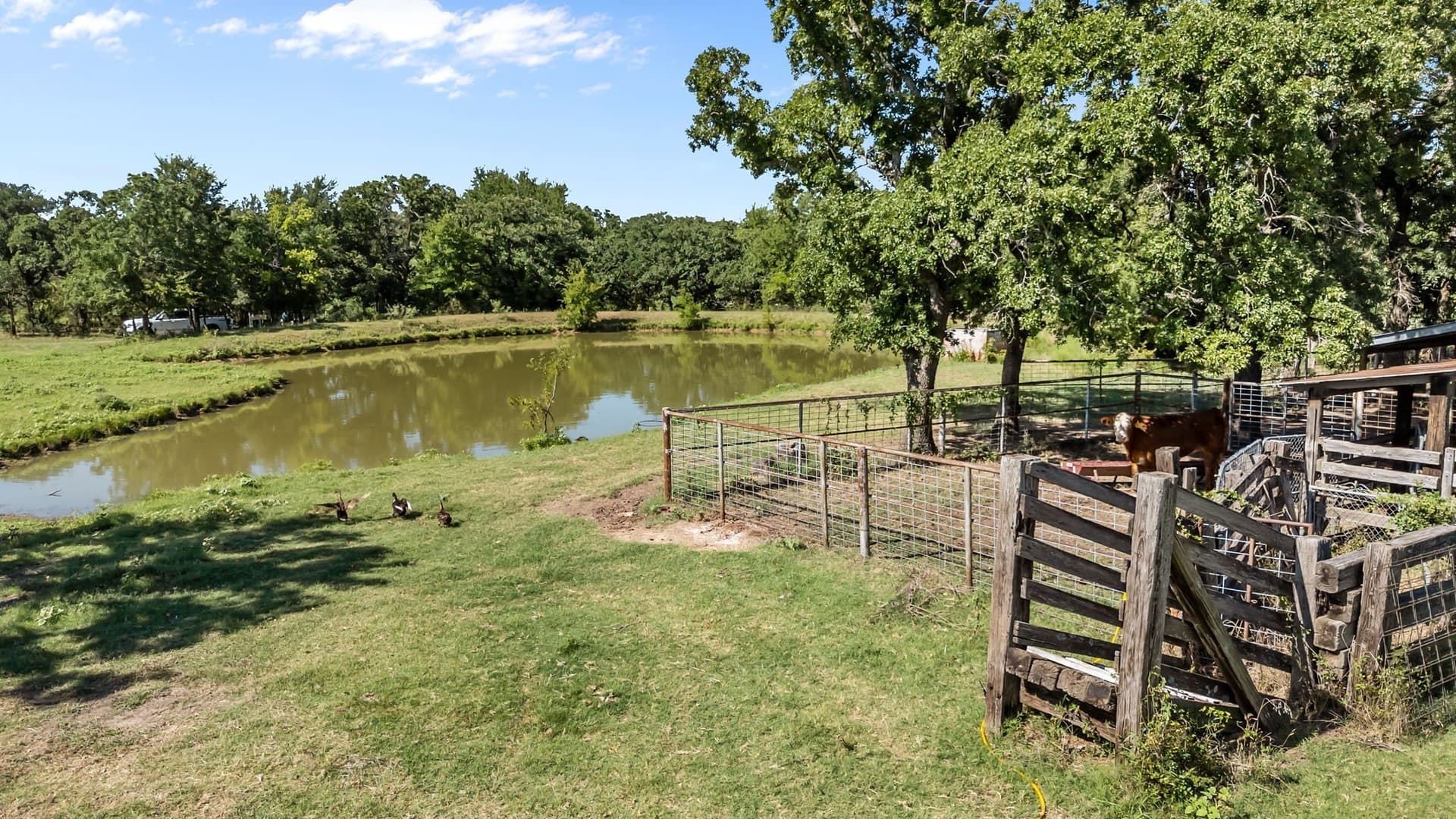 7.56 acres in Parker County - photo 8