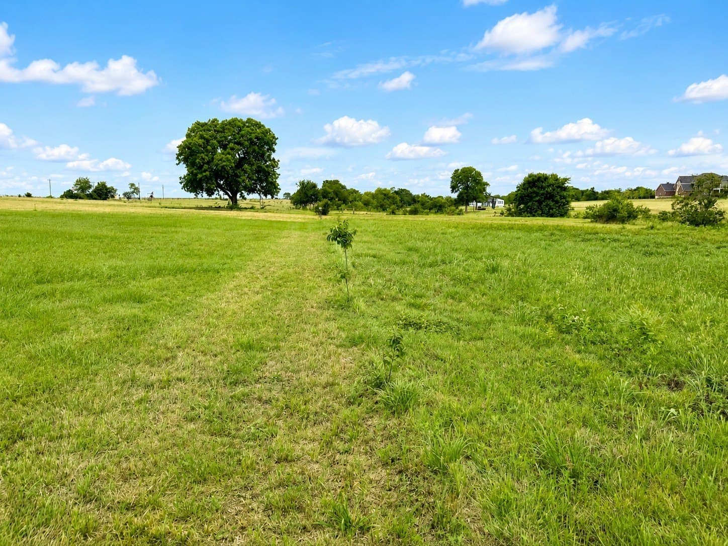 2.25 acres in Navarro County - photo 26