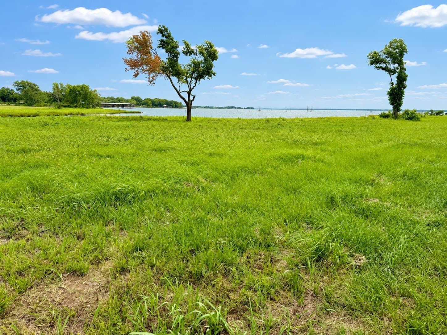 2.25 acres in Navarro County - photo 17