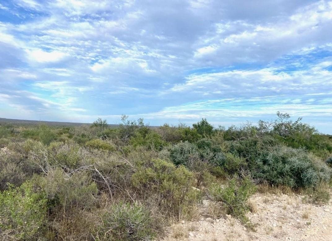 100 acres in Val Verde County gallery image 3