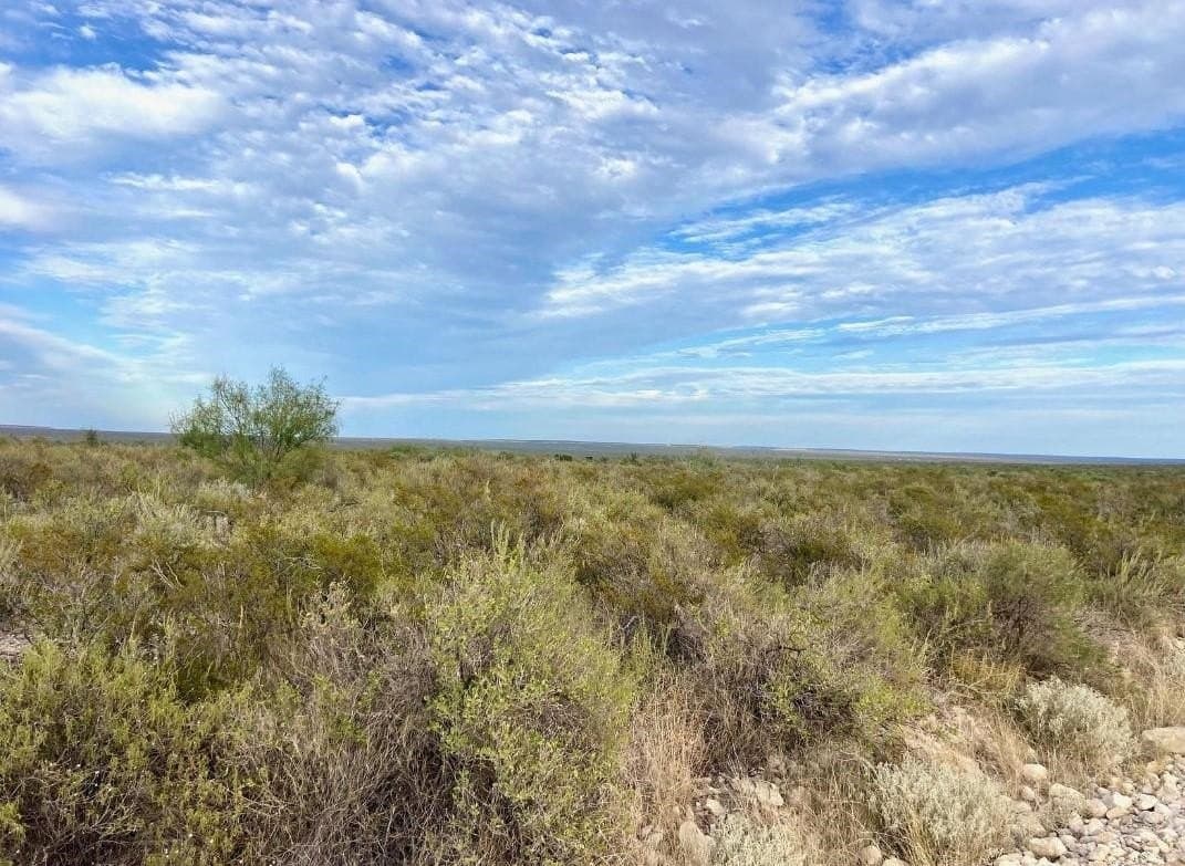 100 acres in Val Verde County gallery image 4