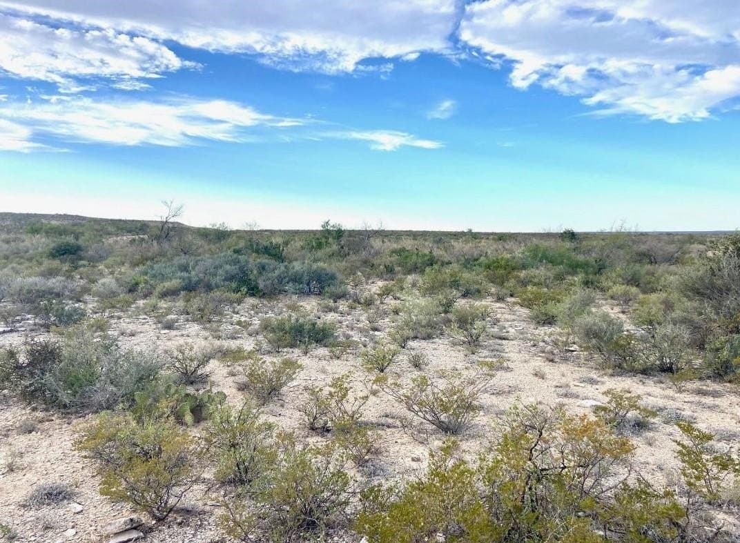 100 acres in Val Verde County featured view