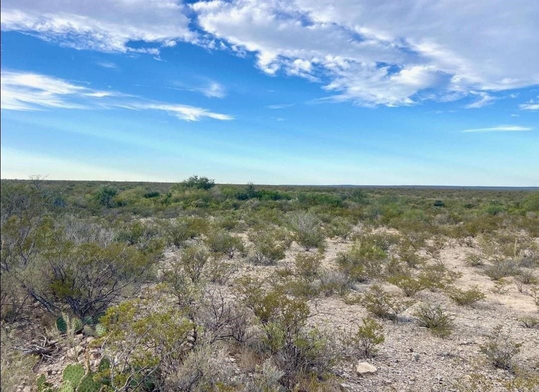 100 acres in Val Verde County gallery image 2