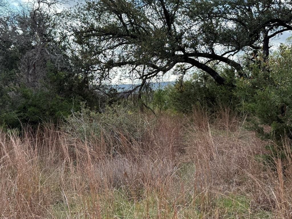 5.8 acres in Blanco County