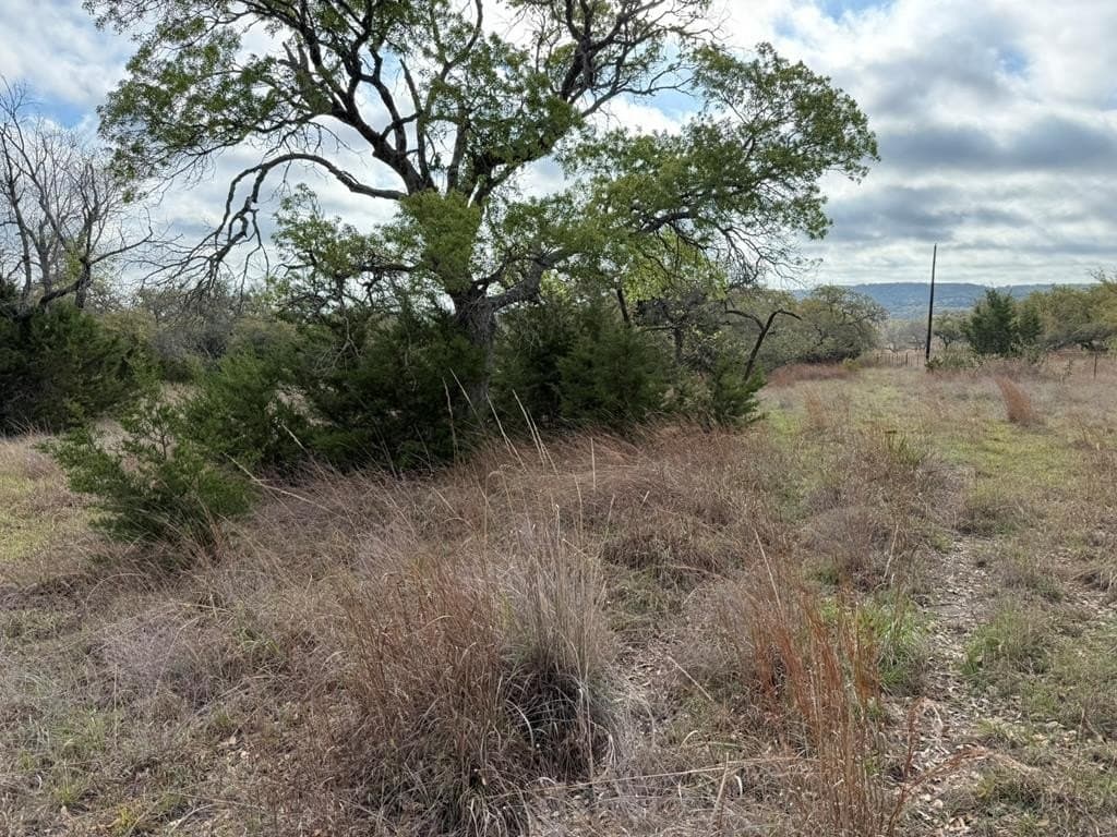 5.8 acres in Blanco County gallery image 4
