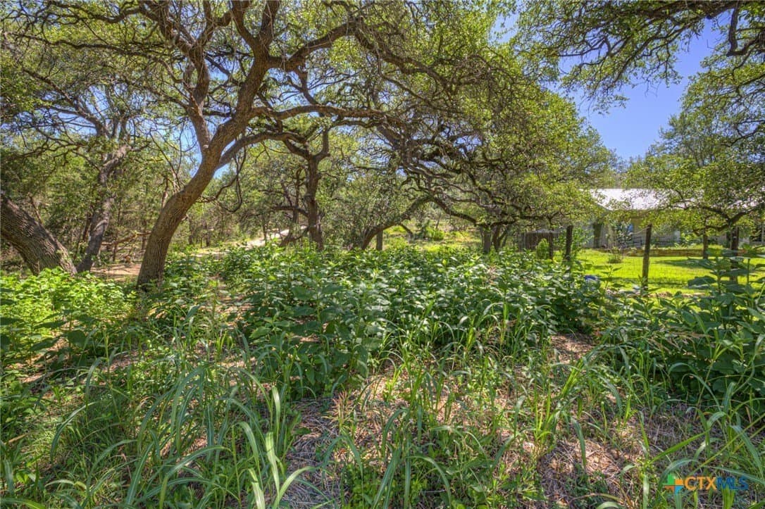 0.72 acres in Hays County featured view
