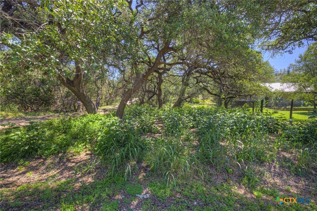 0.72 acres in Hays County gallery image 2