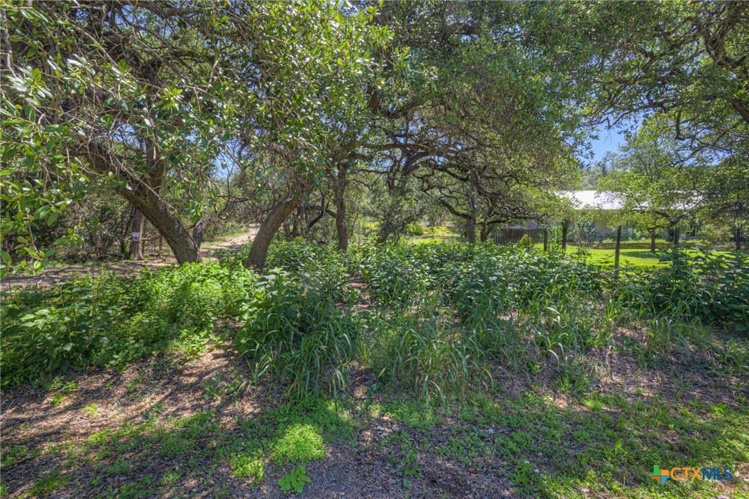 0.72 acres in Hays County gallery image 4