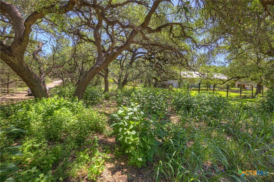 0.72 acres in Hays County gallery image 3