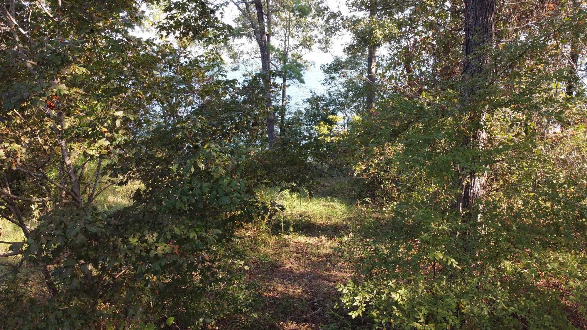 0.51 acres in Texas County - photo 6