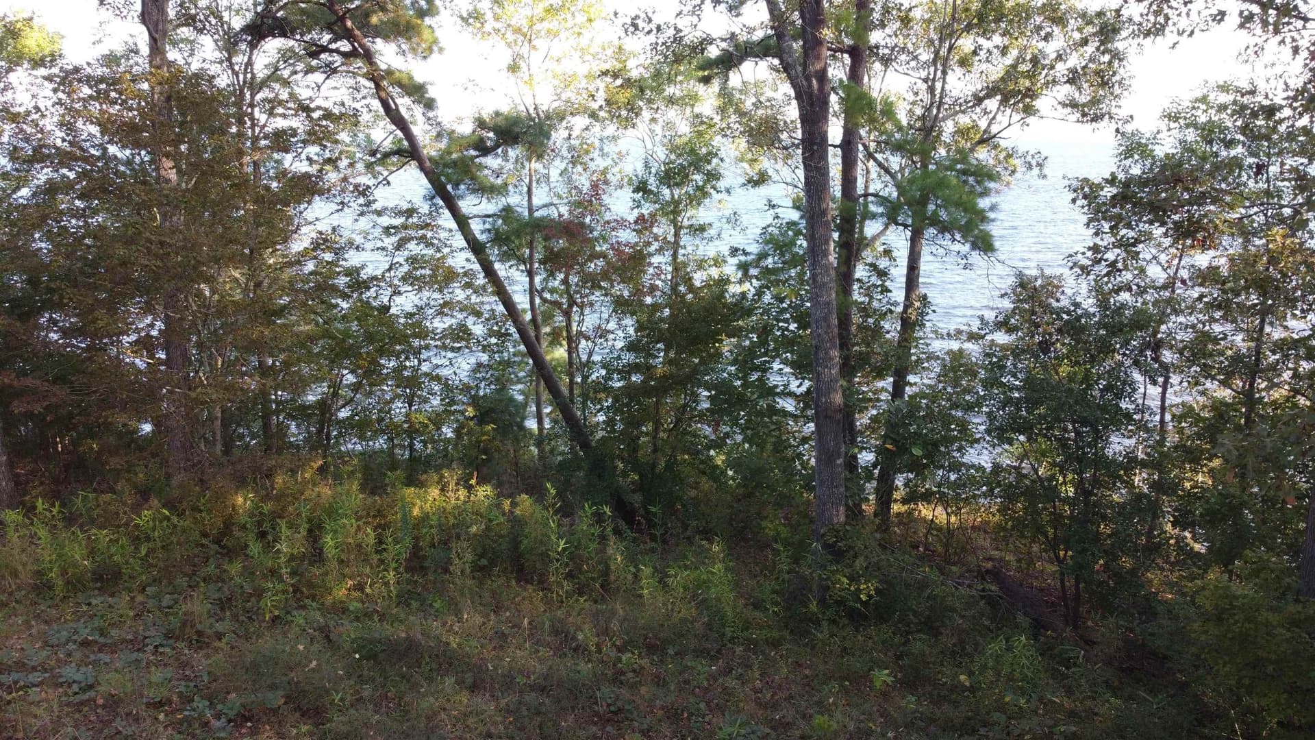 0.51 acres in Texas County - photo 7
