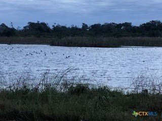 31.5 acres in Aransas County - photo 8