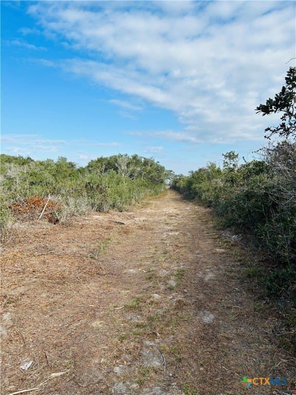 31.5 acres in Aransas County - photo 19