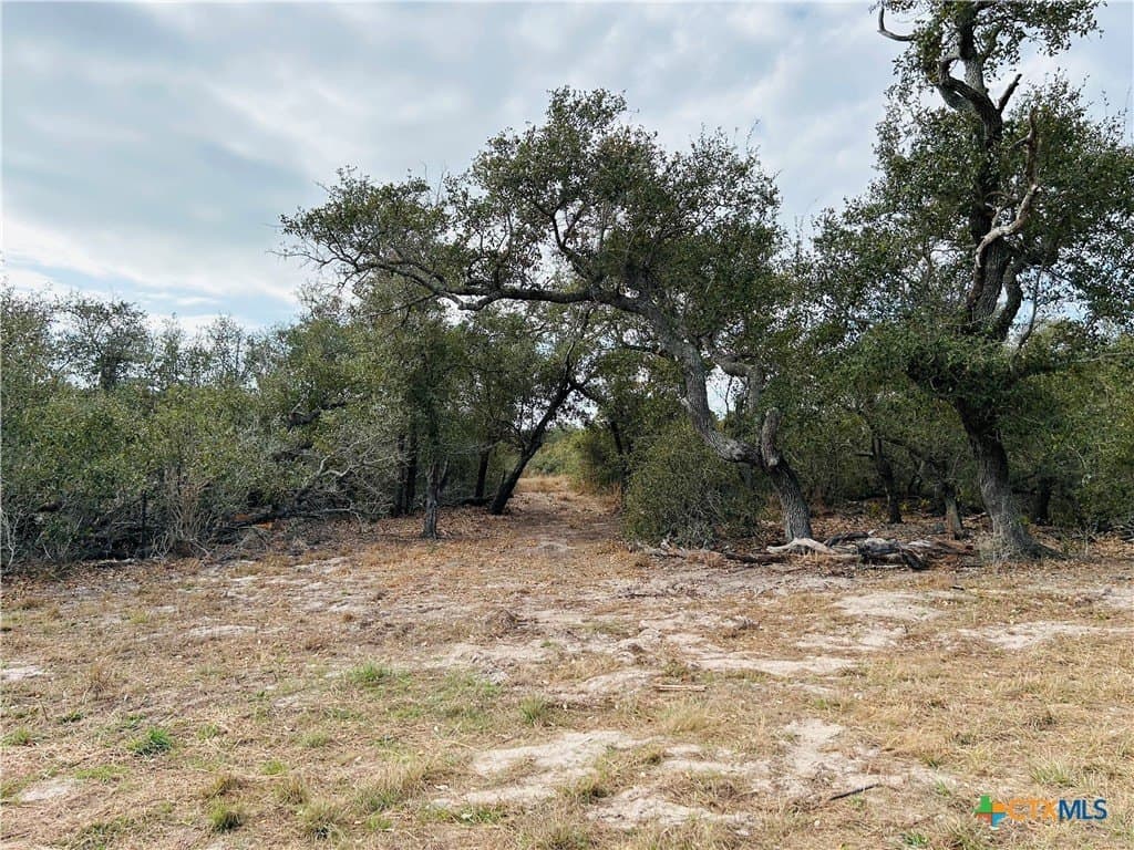31.5 acres in Aransas County - photo 22