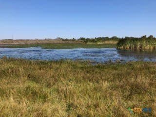 31.5 acres in Aransas County - photo 9