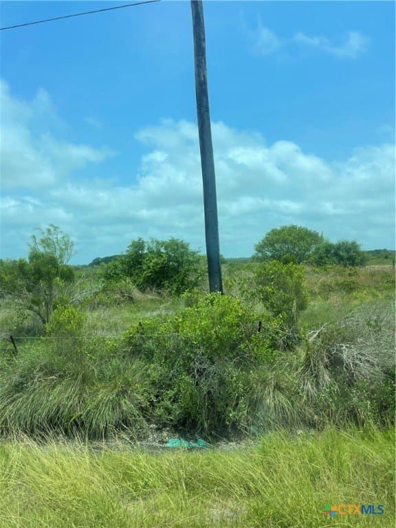 31.5 acres in Aransas County - photo 6