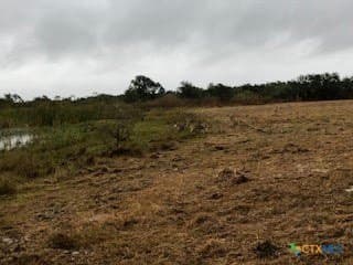 31.5 acres in Aransas County - photo 12