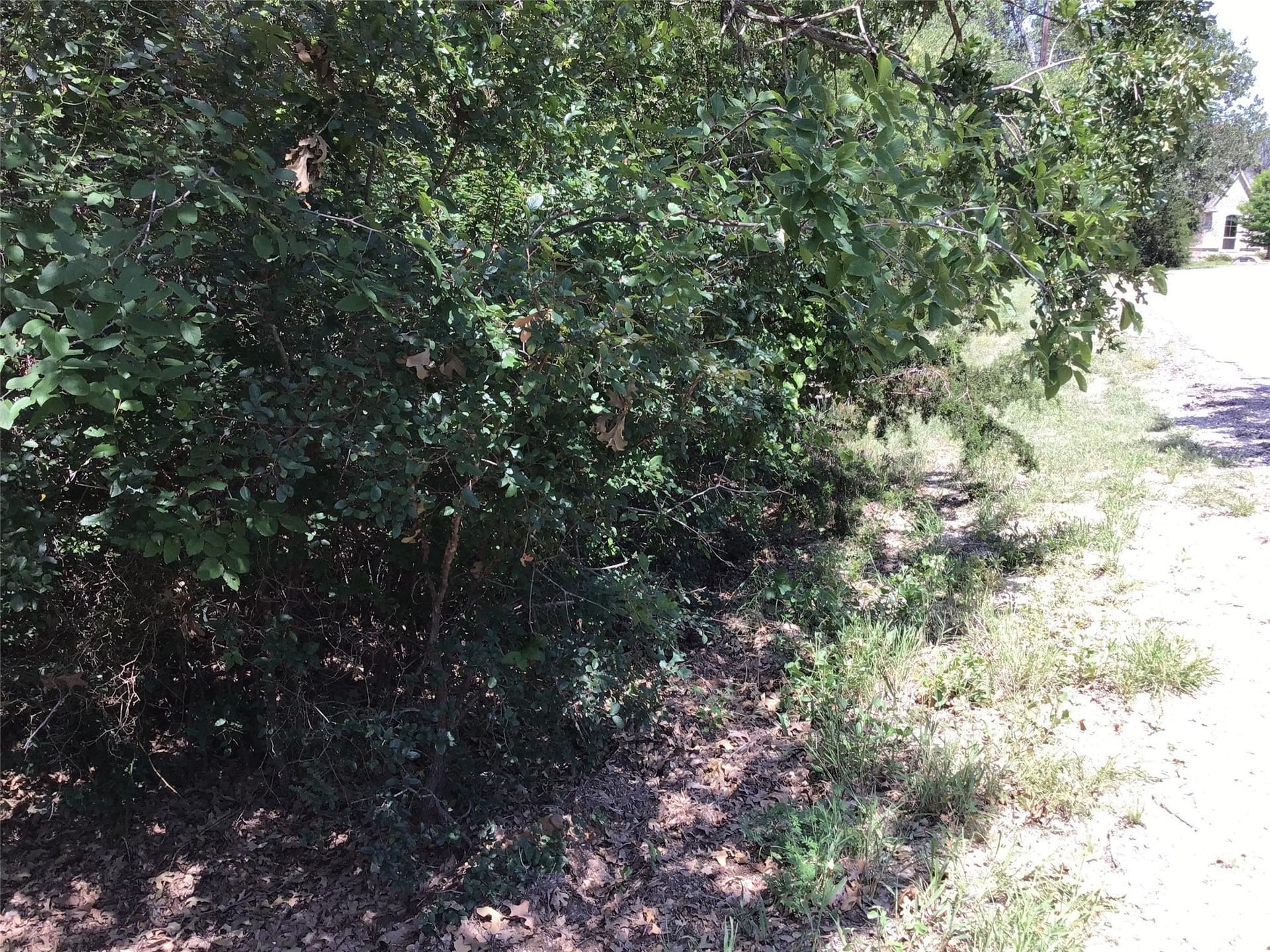 0.7 acres in Hill County - photo 8