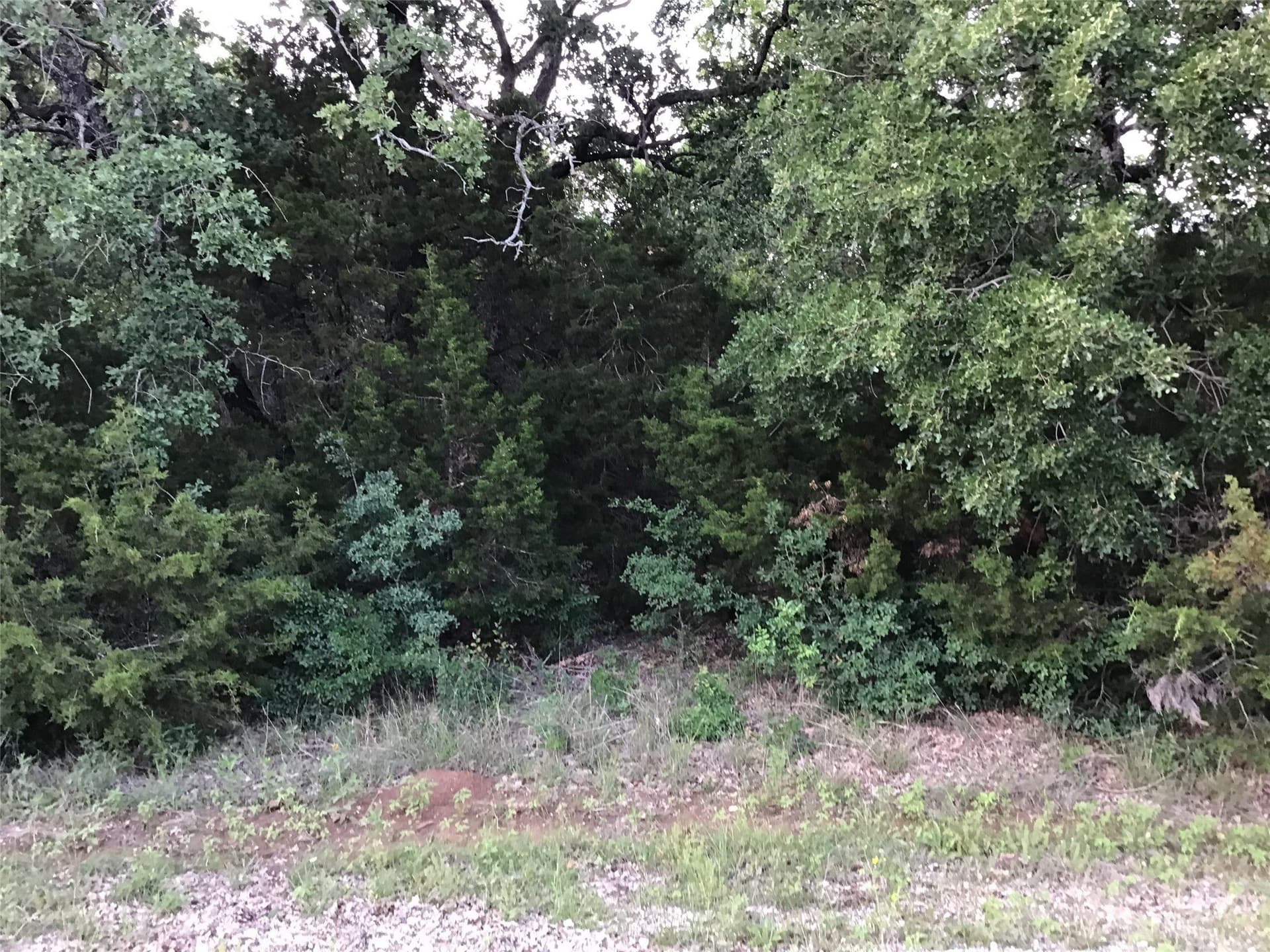 0.7 acres in Hill County gallery image 4