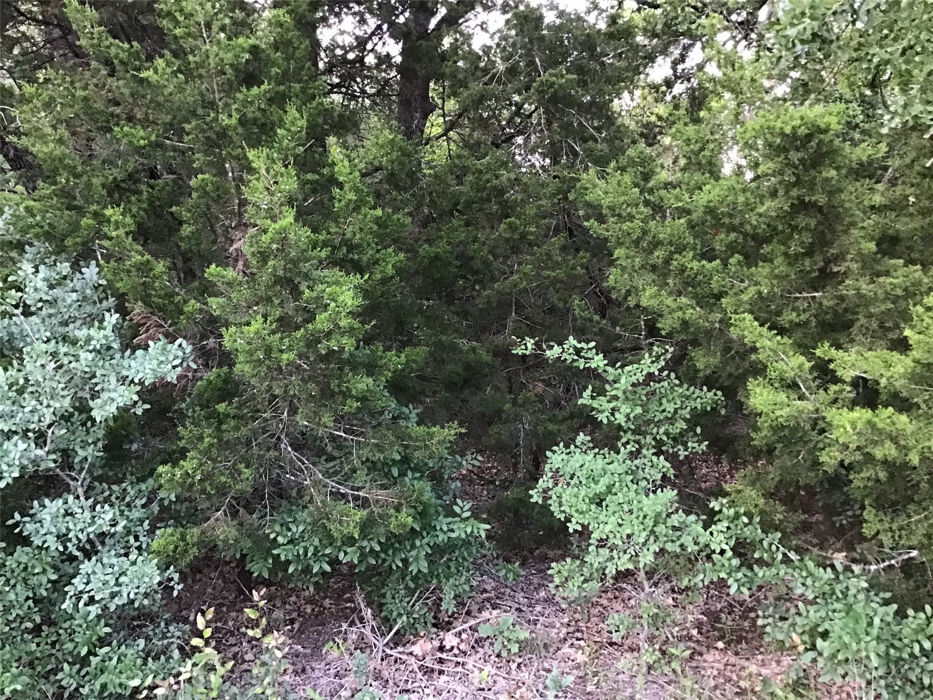 0.7 acres in Hill County - photo 6