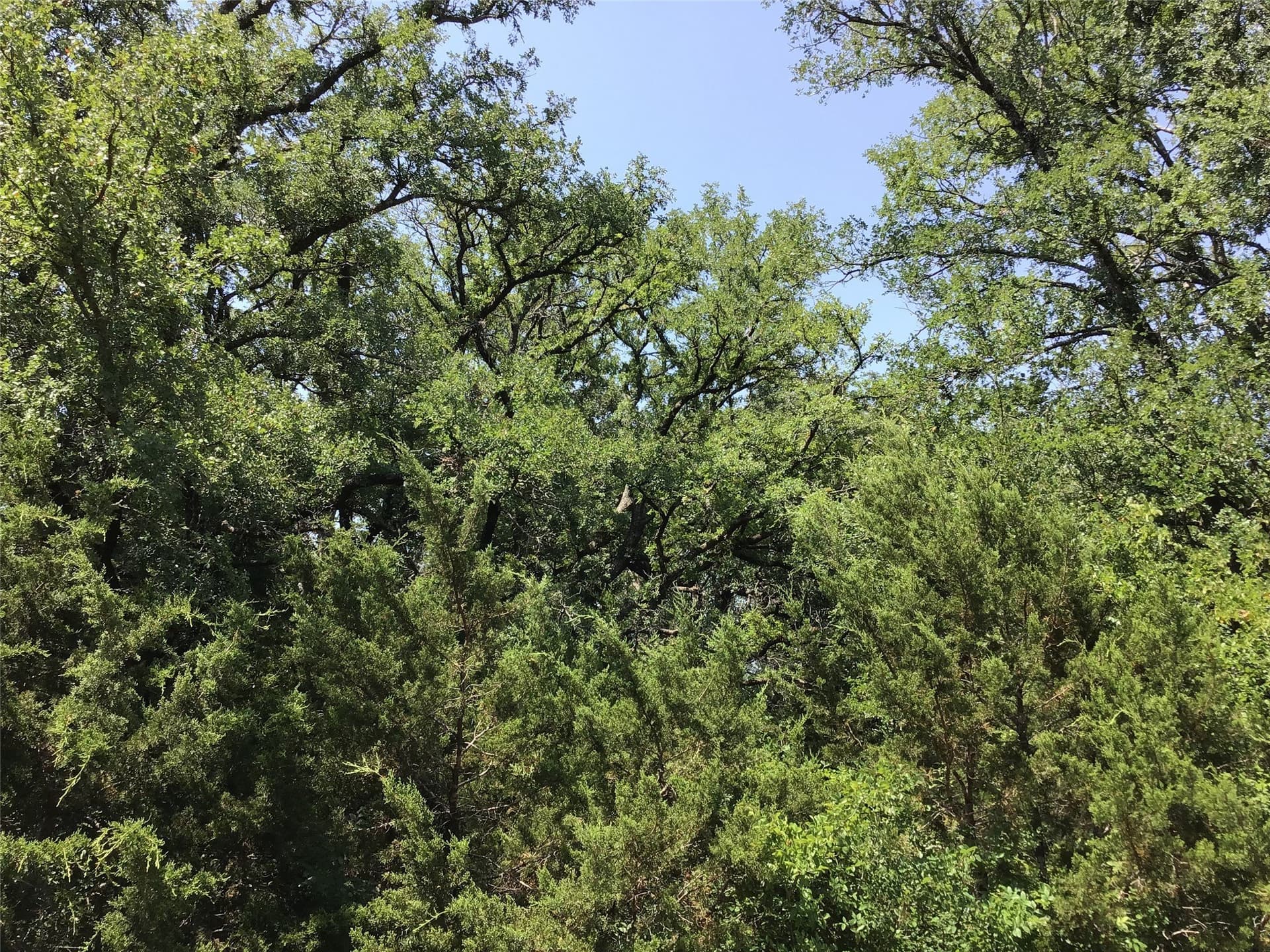 0.7 acres in Hill County - photo 9