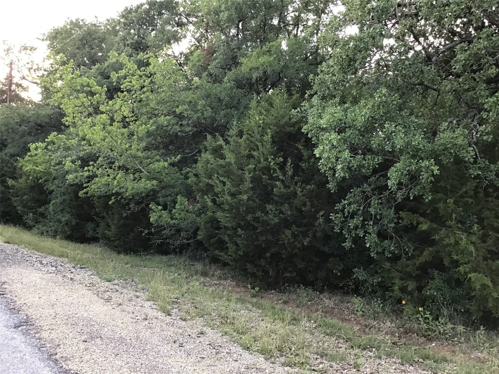 0.7 acres in Hill County gallery image 2